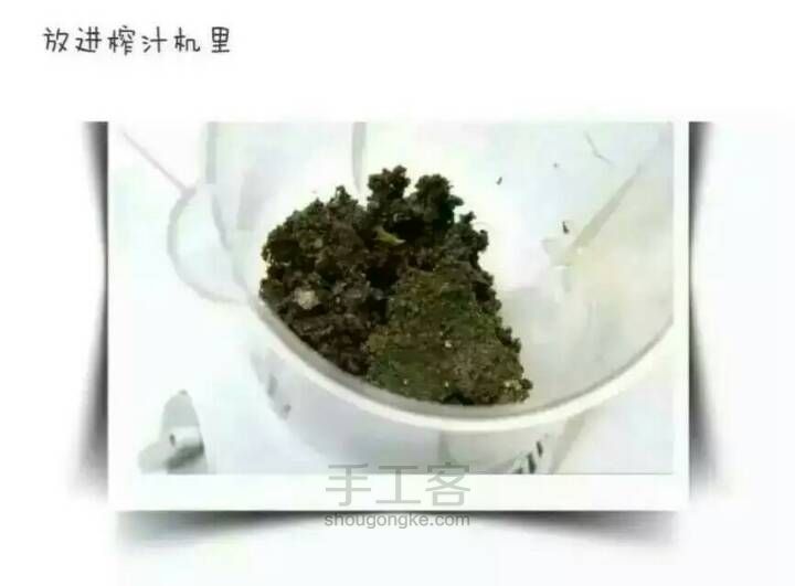 用苔藓在墙上绘画（转） 第2步