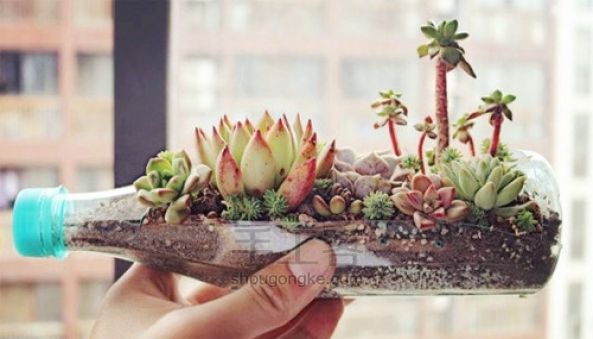 艺术花盆DIY 第13步
