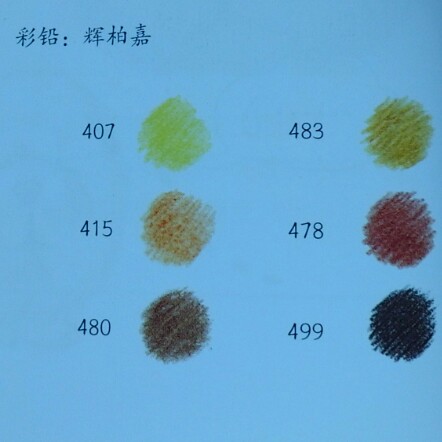 胖胖的松狮犬。。。 第5步