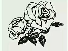 橡皮章玫瑰