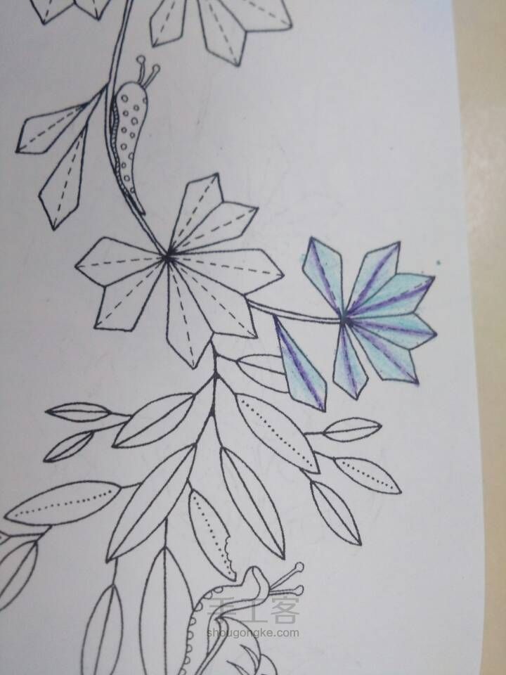 秘密花园 第5步