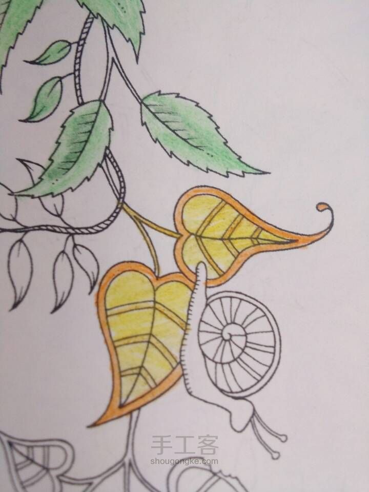 秘密花园 第3步