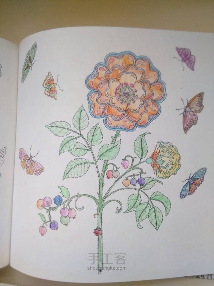 秘密花园 第11步