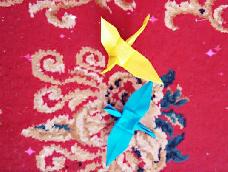 这是一款非常美丽漂亮的千纸鹤