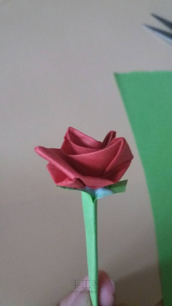 七夕快到了，送你们一捧玫瑰🌹 第13步