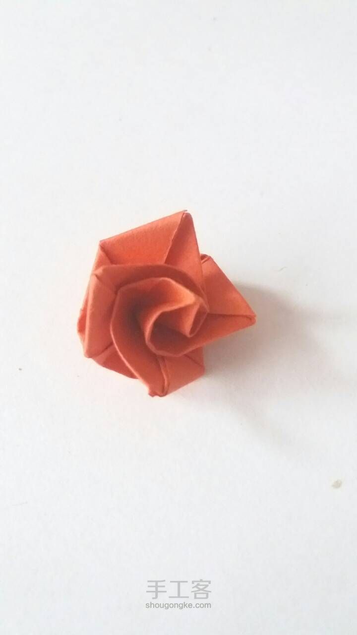 七夕快到了，送你们一捧玫瑰🌹 第12步