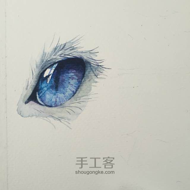 水彩 猫咪的眼睛👀 第5步