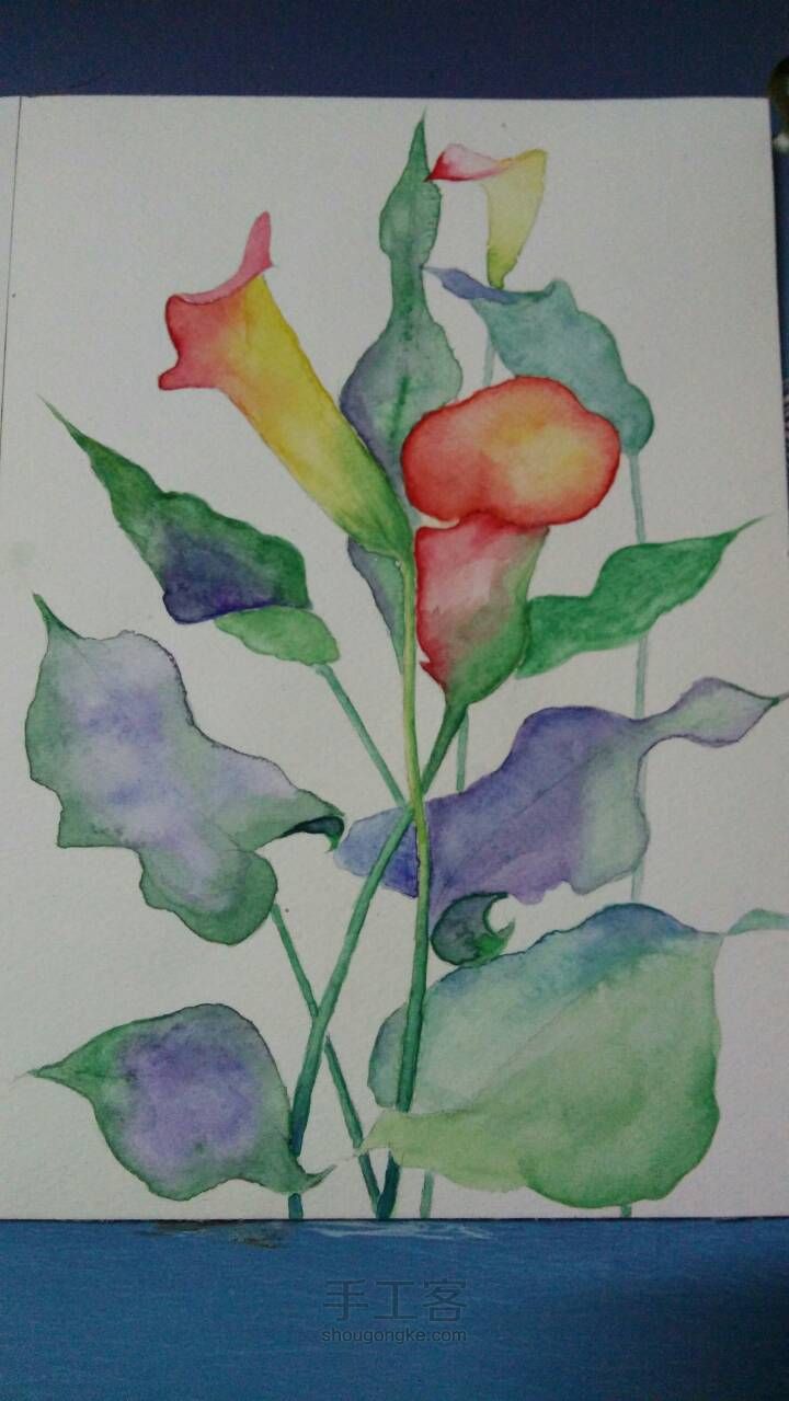 00 第5步
