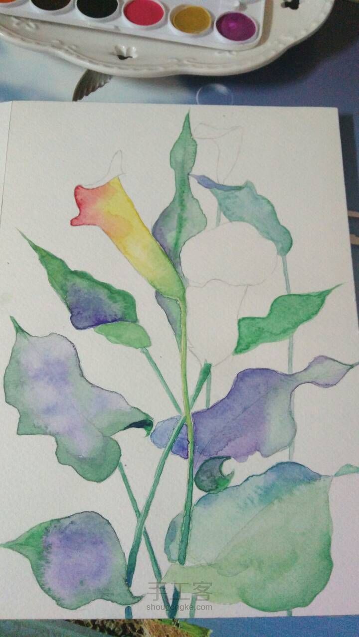 00 第4步