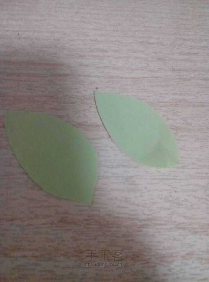 海绵菊花 第11步