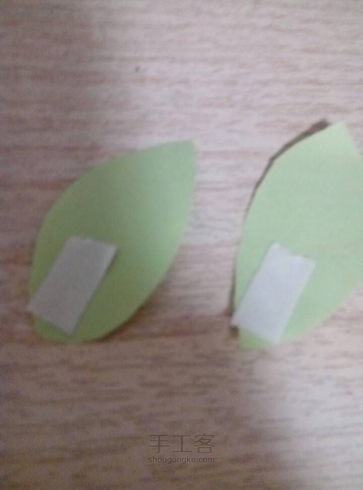 海绵菊花 第12步