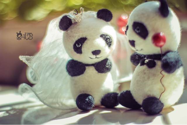 熊猫婚礼季 第19步
