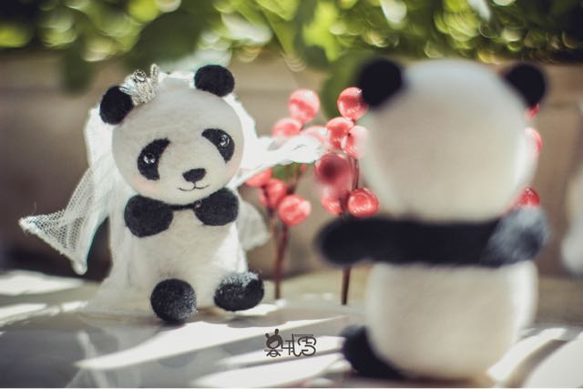 熊猫婚礼季 第20步