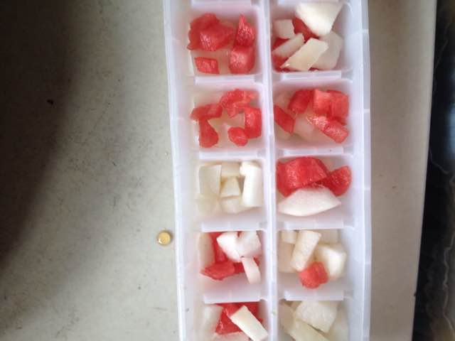 美味解暑的水果牛奶冰块 第3步