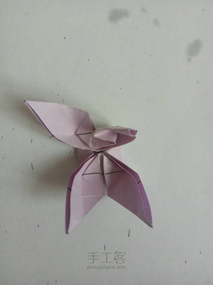 美丽的凤尾蝶💘 第40步