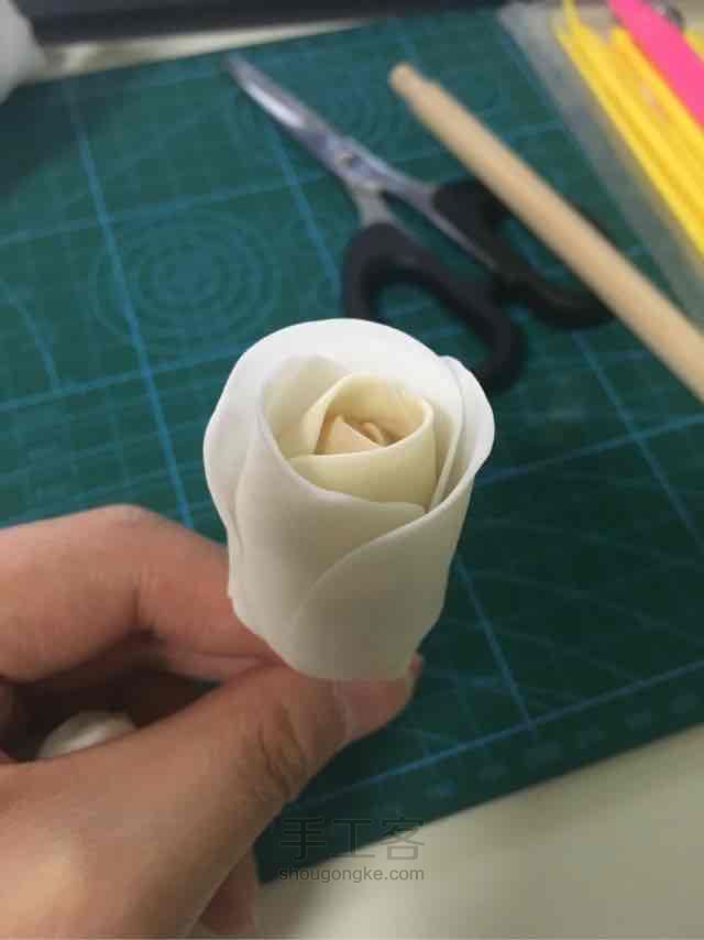 白玫瑰 第3步