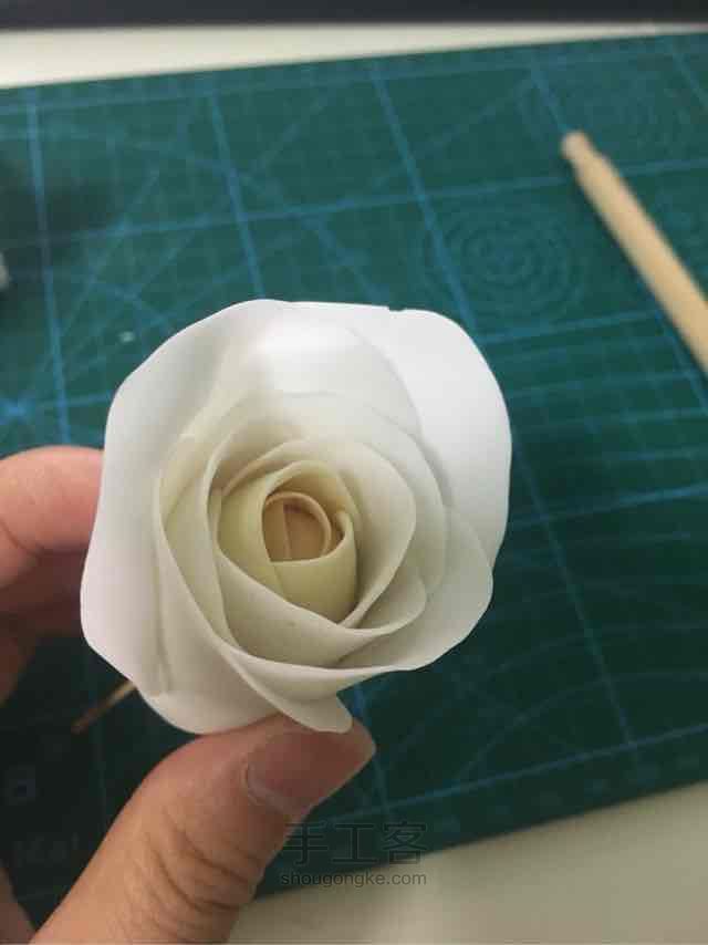 白玫瑰 第6步