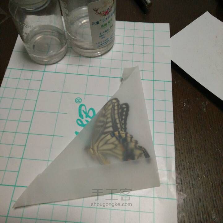 制作滴胶版蝴蝶翅膀标本全过程 第2步