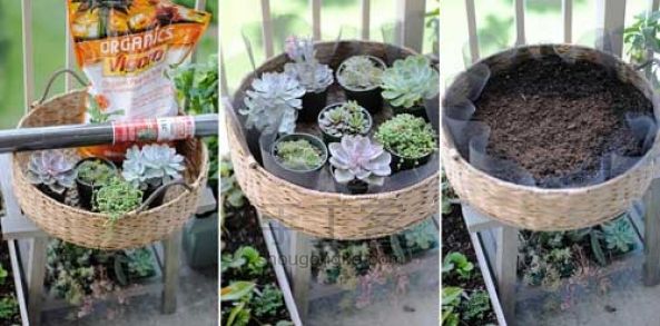 室内小花园——多肉植物篮子DIY 第2步
