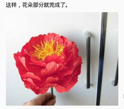 (转载)牡丹花 第25步