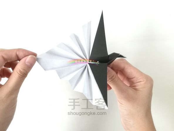 七夕专题——喜鹊 第1步
