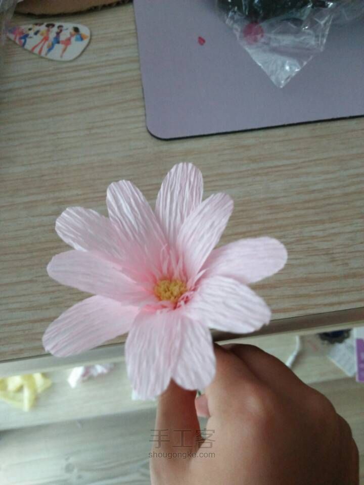 雏菊✨ 第6步