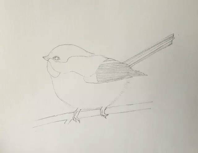 【颖】画一个可爱的小鸟 第5步