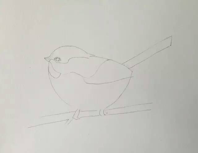 【颖】画一个可爱的小鸟 第4步