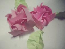 最近超爱的连体玫瑰，给你们安利一下。叫我小仙女😂
