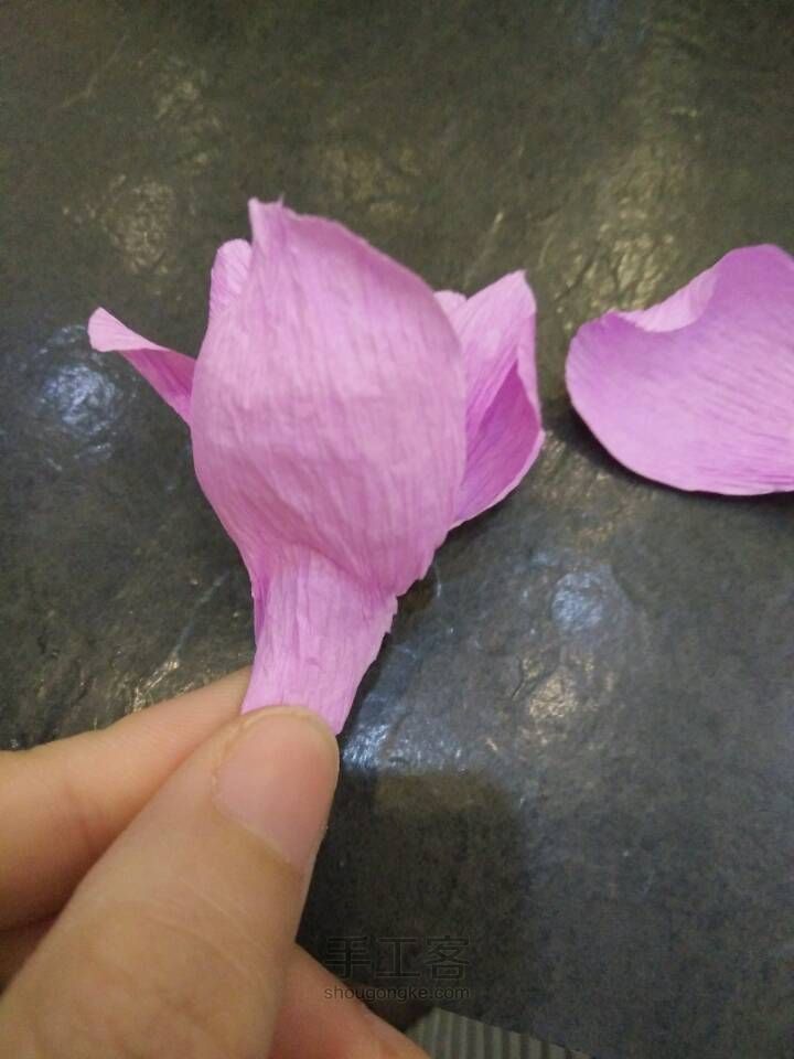【可爱女Kapa纸艺花】木槿花，韩国国花 第15步