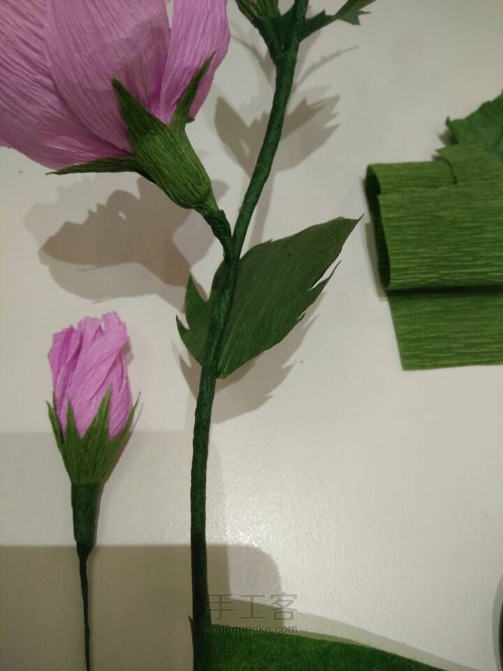 【可爱女Kapa纸艺花】木槿花，韩国国花 第28步