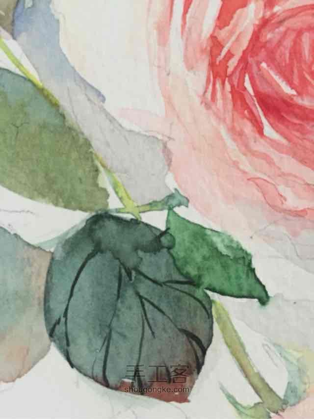 水彩 玫瑰🌹3 第9步