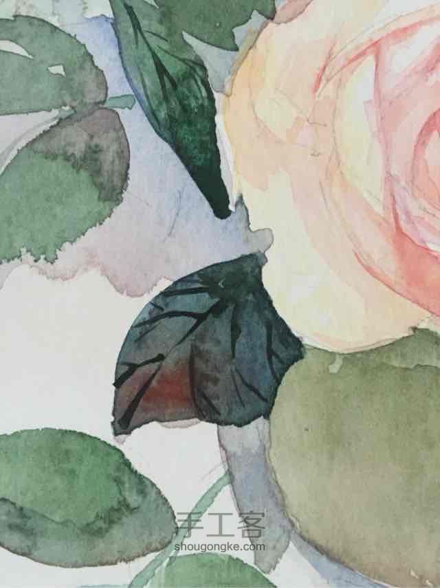 水彩 玫瑰🌹3 第8步
