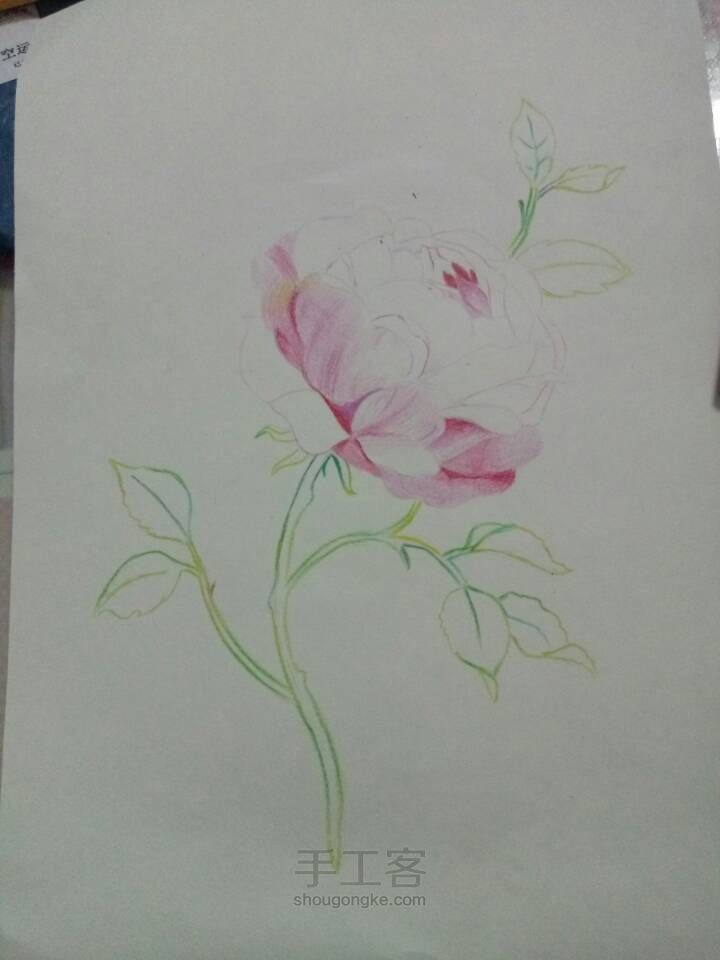 画一朵花花🌸～ 第4步