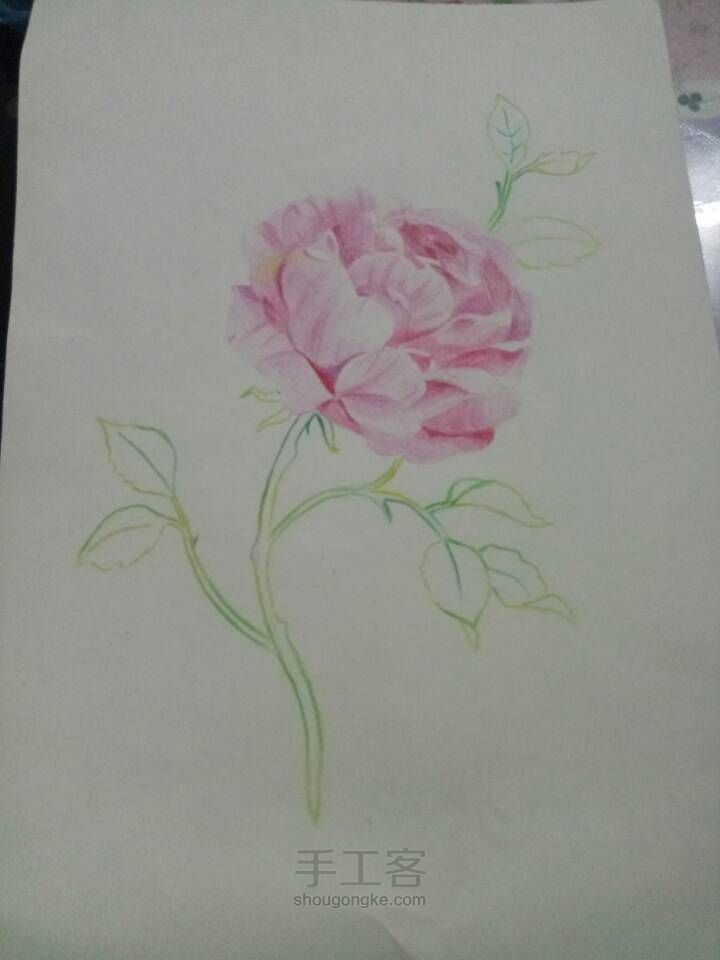 画一朵花花🌸～ 第5步