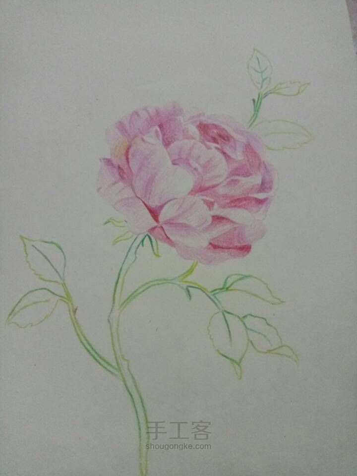 画一朵花花🌸～ 第6步