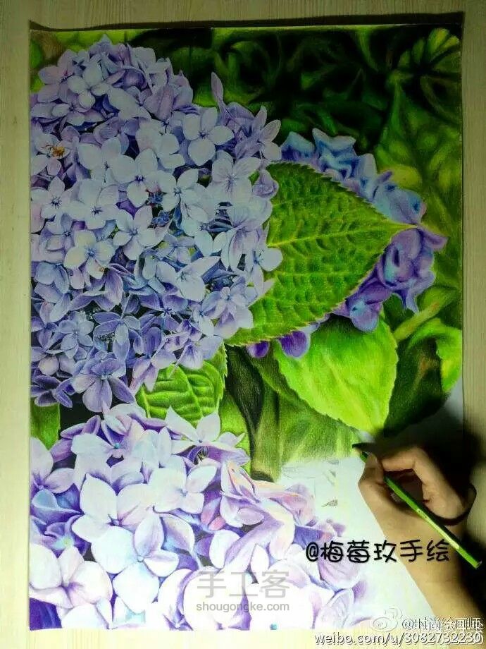 绣球花 转 第8步