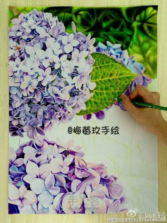 绣球花 转 第7步