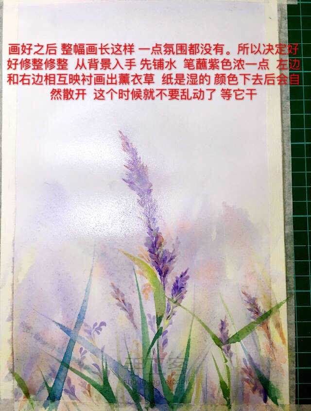 紫色薰衣草 第6步