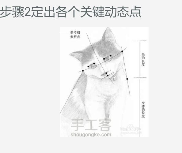 【可爱猫咪素描画】 第2步