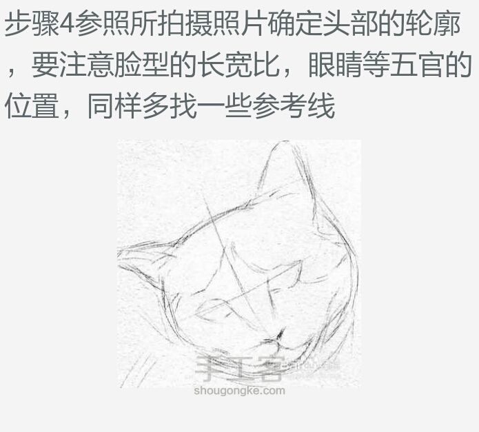 【可爱猫咪素描画】 第4步
