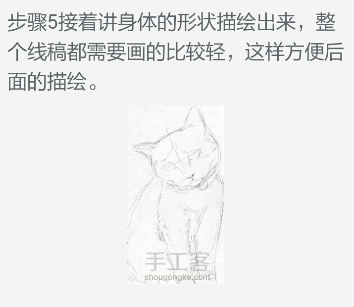【可爱猫咪素描画】 第5步