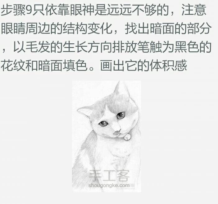 【可爱猫咪素描画】 第9步