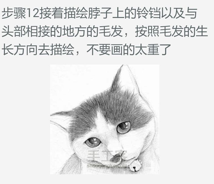 【可爱猫咪素描画】 第12步