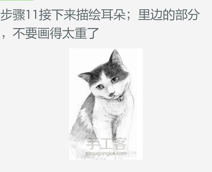 【可爱猫咪素描画】 第11步