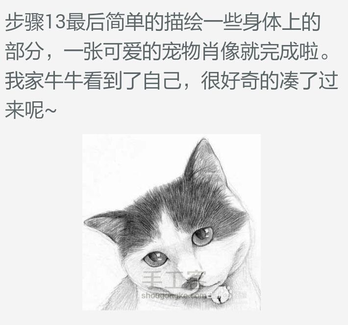 【可爱猫咪素描画】 第13步