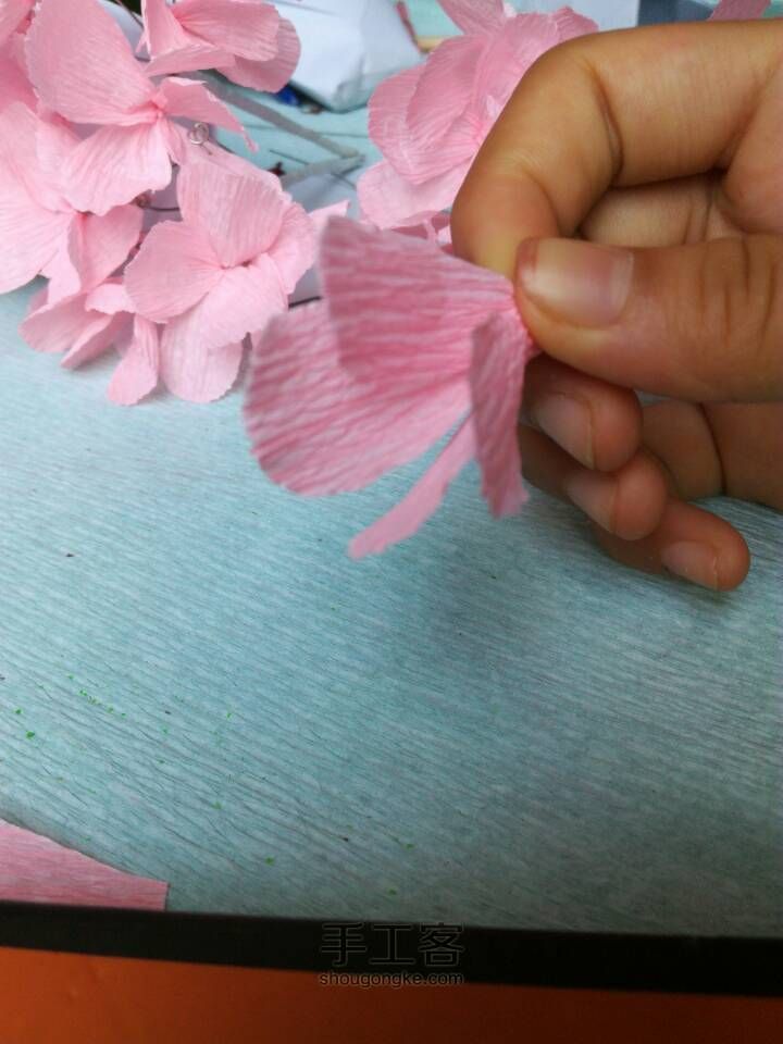 永生花 第2步