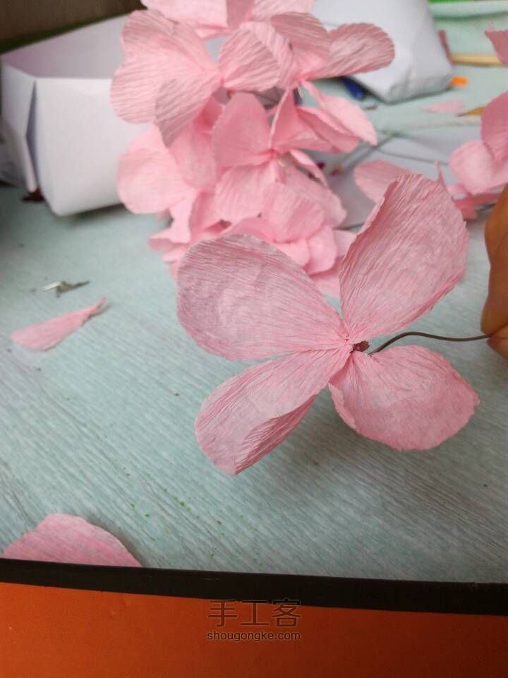 永生花 第4步