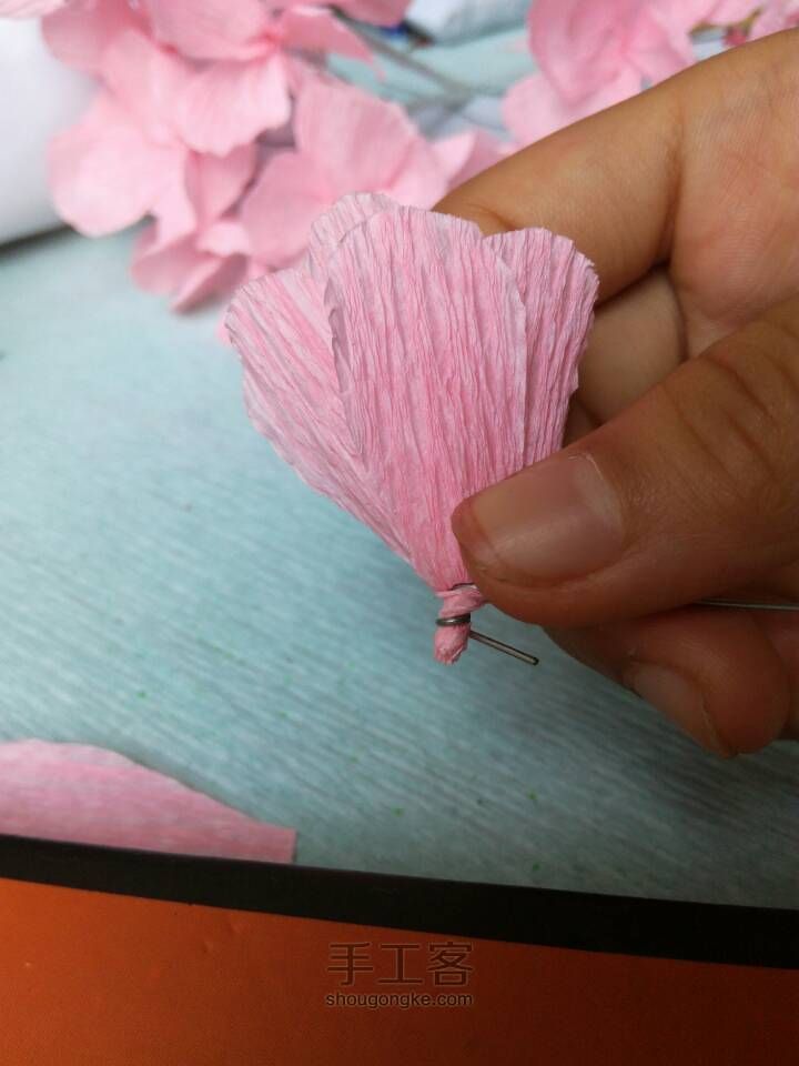 永生花 第3步
