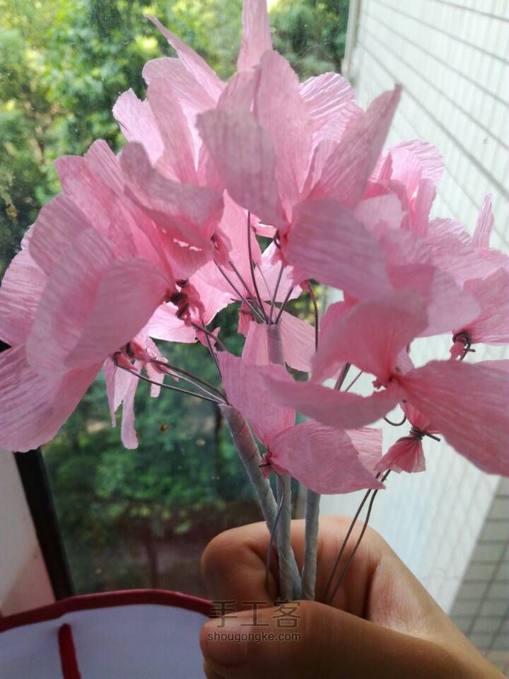 永生花 第6步